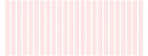 fireworks resources