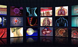 Tips To Choose Great Website Templates