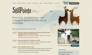 animal web design