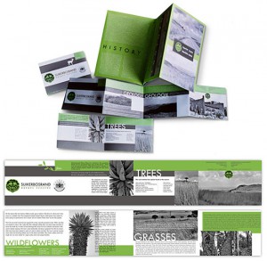 creative brochure design