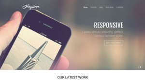 Hayden WordPress Theme