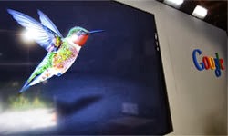 How Can You Take Advantage of Google's Hummingbird Update?