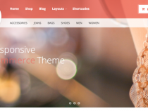 Win A Premium WordPress Theme from Theme Junkie!