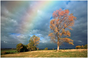 Add A Realistic Rainbow To A Photo In Photoshop