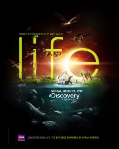 Discovery Channel – Life